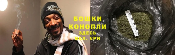 ECSTASY Богородск