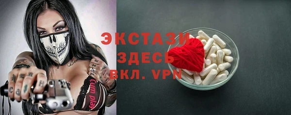 ECSTASY Богородск
