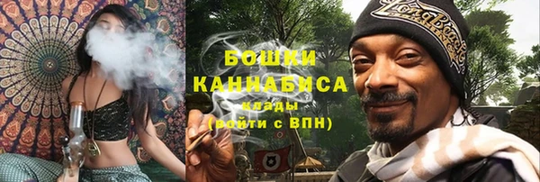 ECSTASY Богородск